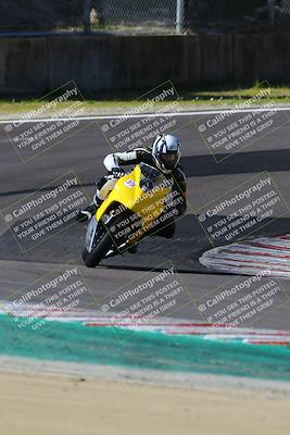 media/Mar-17-2024-Fastrack Riders (Sun) [[c7d6f8c14c]]/Level 1/Turn 6/